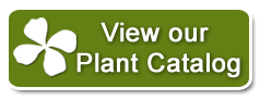 View our Plant Catelog